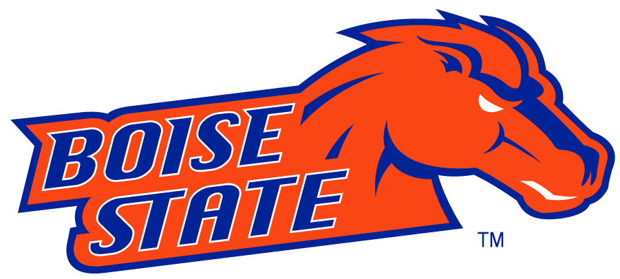 Boise State Broncos 2002-2012 Secondary Logo v25 diy iron on heat transfer